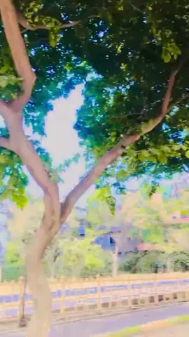 #ChaudharyAhmedMSF🔥⚔️☠️ #msf👑☠️ #mazboot🤘 #fypシ゚viral🖤tiktok #foryoupage 