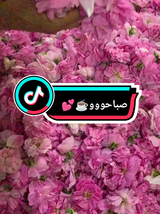 #صباحو #اكسبلور #fyp #foryoupage❤️❤️ #viral 