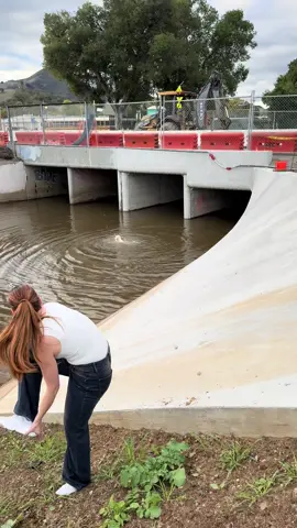 Not all heroes wear capes ❤️‍🩹 (Update we brought her inside kept her warm and reunited with her family)#hero 