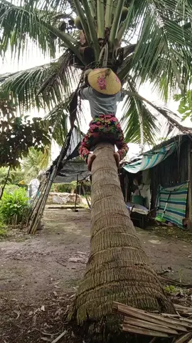 thôi còn gì a ơi 