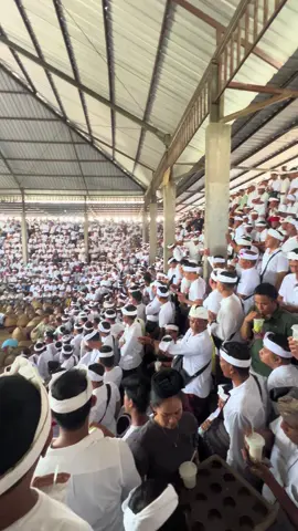 absen yang mepunia hari ini semeton #fyppppppppppppppppppppppp #tajenbalibergetar🐔🙏 