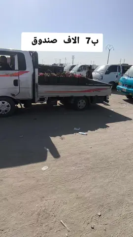 #طماطه🍅 #طماطم #العراق🇮🇶 #النجف_الاشرف 