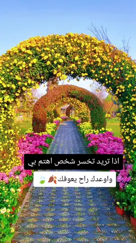 #عبارات #عباراتكم #مشاعركم_هنا 