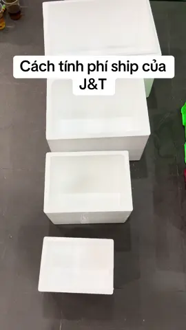 #thegioididongbetta #betta #xuhuong #xuhuongtiktok #hottrend