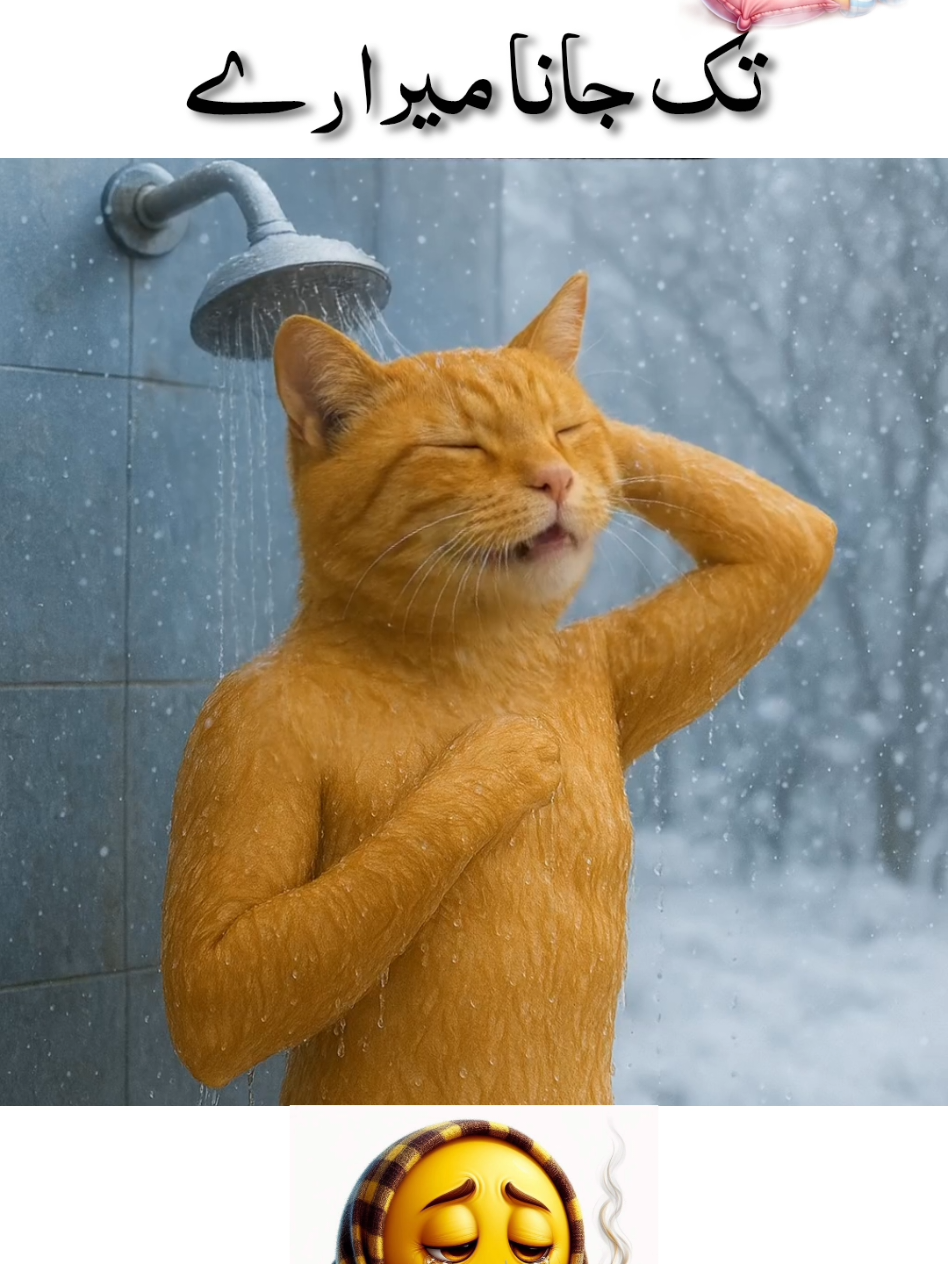 @TikTok Pakistan Please support my content and viral my videos | Don't under review my videos 🙏🏻😭 #funnycatsoftiktok #funnystatus #foryoupage #foryou #viral 