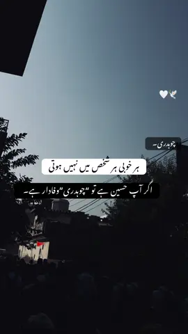 ہر خوبی ہر شخص میں نہیں ہوتی اگر آپ حسین ہے تو “چوہدری”وفادار ہے۔  #fyp #reels #creatorsearchinsights 