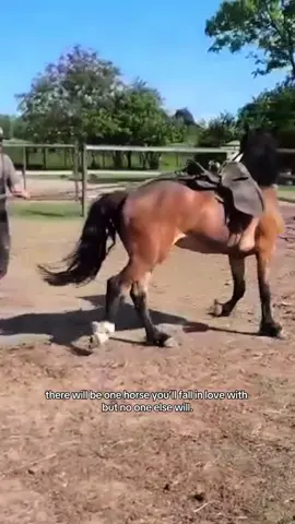 the story of absolute despair and much more love.