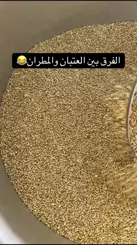 #شعبيات_ام_عزام #سمن_غنم_ام_عزام #دخن_بيضان_ام_عزام #خواضه_مطير #عكاك_ام_عزام 