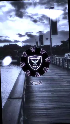 notifikasi Whatsapp #notifikasi #notification #notif #masukberanda 