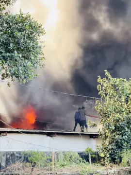 নিজের জীবনের ঝুঁকি নিয়ে কাজ করছে জনগণের  জন্য 😅😢#tiktok #vairal #tiktokforyou 