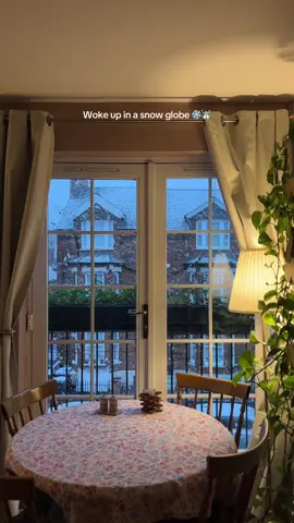The way I squealed when I opened the curtains this morning! It’s just so beautiful ❄️☃️💕✨ #snow #christmas #winter #fyp #snowing 