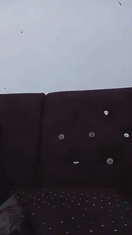 اشتري جكاير الفكر😂😂#الشعب_الصيني_ماله_حل😂😂 #متتتتتتتتتتتتتتتتتت😂😂💔 #فگر_ابن_الفگر😂😤💔  #tiktok #viral 