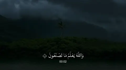 العنكبوت - #عبدالرحمن_مسعد 