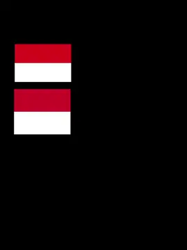 #этопригожинженя #монако #индонезия #вена #зальцбург #маппинг #флаги #политика #countryballs 