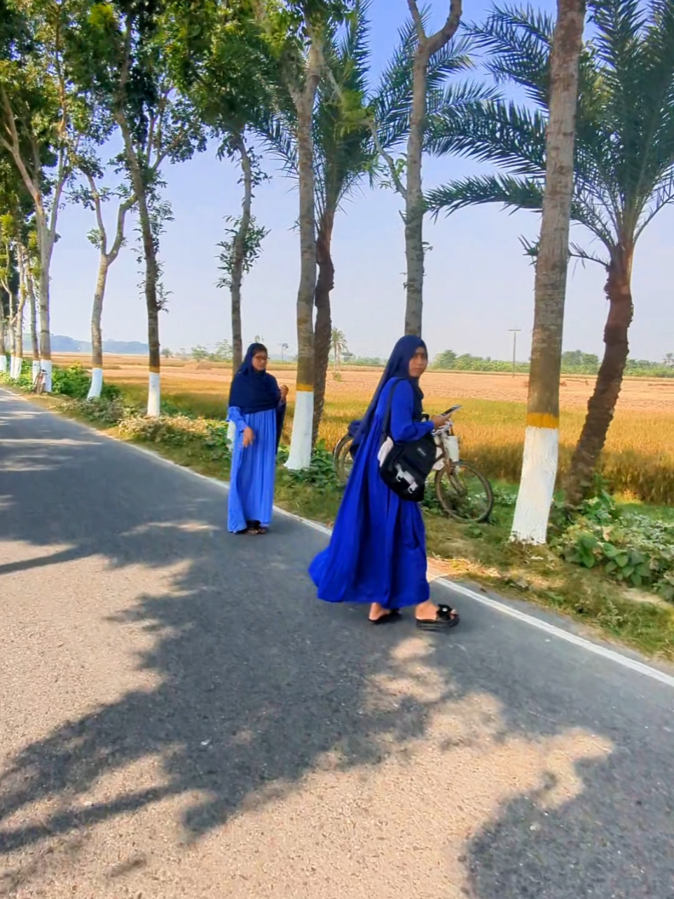 #ছুটিপুর_টু_কাশিপুর_রোড_যশোর  #ঝিকরগাছা  #চৌগাছা  #যশোর  #ভাইরাল_ভিডিও  @TikTok Bangladesh 