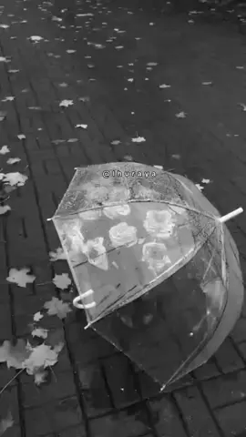 #خواطر#اقتباسات#حكم #اكسبلور#تصميمي