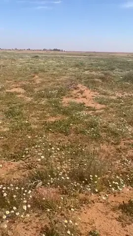 #تصويري #اكسبلور 