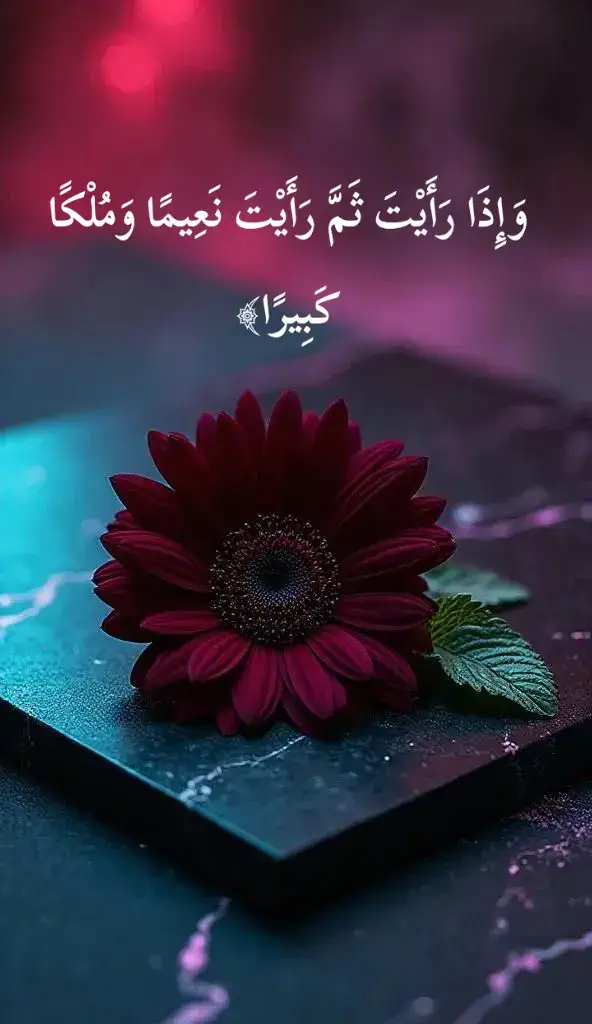 #القرآن_راحة_نفسية💜💜 #اللهم_صلي_على_نبينا_محمد_وآله_وصحبه♡ #creatorsearchinsights 