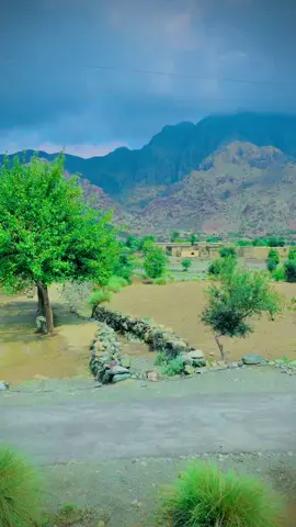 #mohmand #foryou #Page💯🥀🍂🍁🥀 #Younas #Khan 