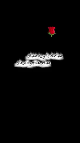 #CapCut @أياد الشامي 🎙️(العميد) 