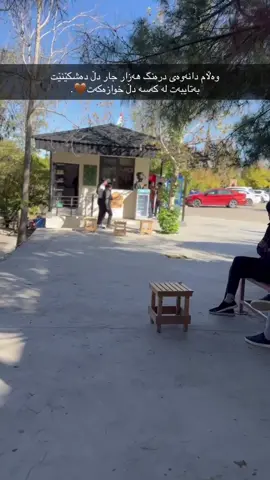 کۆلێژ🖤#shaqlawa #shaqlawatechnicalcollege #foryou #foryoupage #fyp 