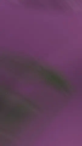 Không biết cái hố ông keng đào sâu cở nào mà tui chèo quài vẫn chưa ngoi lên được😌 @kengharit #keng #kengharit #kengharitbuayoi #fyp 