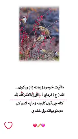 #foryoupage❤️❤️ #viralvideo #foryoupage 