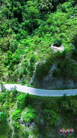 When the road turns green 🍃#djimini5pro  #timorleste🇹🇱🐊 #creatorsearchinsights 