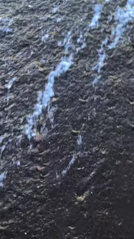 hanya redup bukan padam#fyp #motipasihidup #kata 