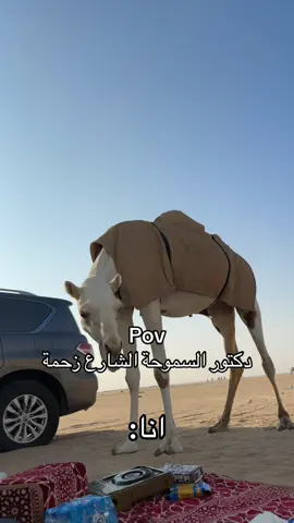 شسوي الجو حلو🤣🤣#الشعب_الصيني_ماله_حل😂😂 #explore #kuwait #الكويت🇰🇼 