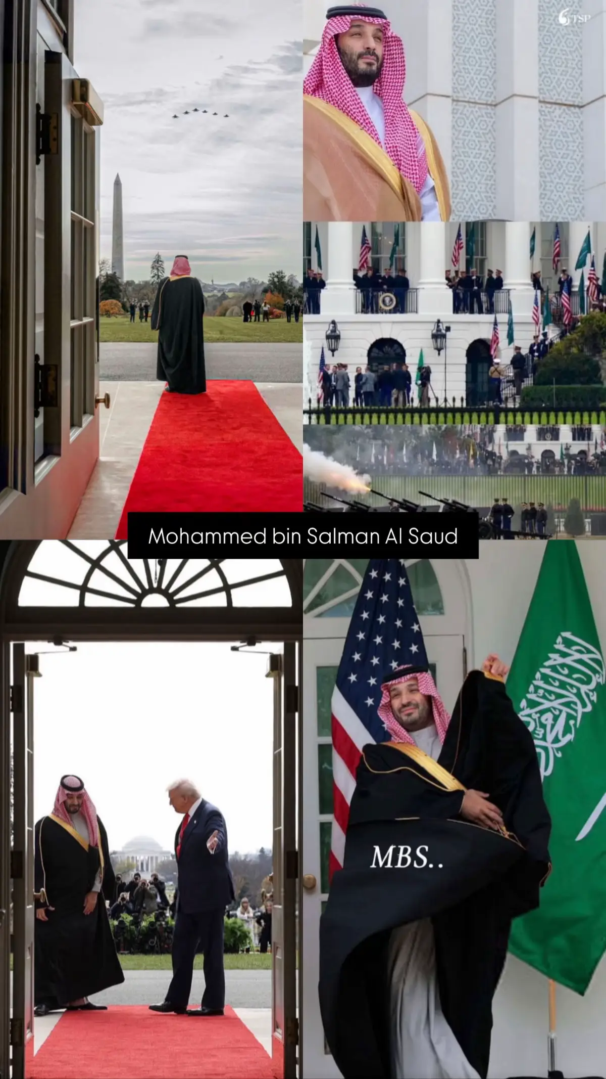 تحيه لسمو سيدي محمد بن سلمان بن عبدالعزيز آل سعود 🤍. #المملكه_العربيه_السعوديه #MBS #ولي_العهد #f 
