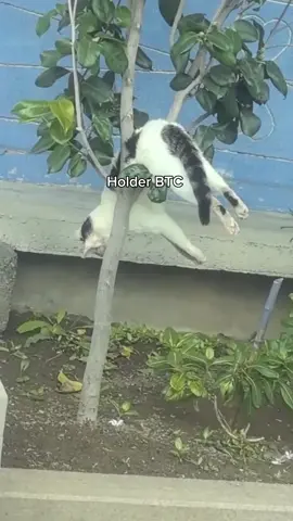 ini arahnya mau dibawa kemana si bang😭