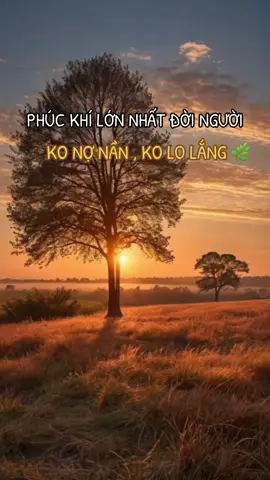 Cái phúc lớn nhất đời người là không nợ nần ko lo lắng #langnghecauchuyen #cuocsong #suyngam #xuhuong 