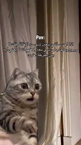 #Meme #MemeCut  #foryou #foryoupage #explorepage 