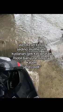 #beranda #fyppppppppppppppppppppppp #trending 