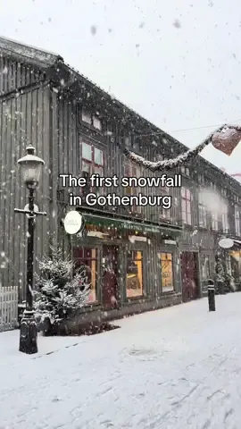 The first snowfall in Gothenburg, Sweden! ❄️☃️🌨️ #göteborg #gothenburg #sweden #haga #snow #snowfall #winter #christmas #snö 