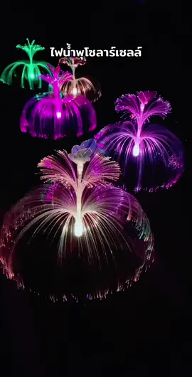 ไฟตกแต่งในช่องเทศกาลนี้ #ไฟปักสนามโซล่าเซลล์ #ไฟแมงกะพรุนโซล่าเซลล์ #ไฟตกแต่งบ้านและสวน 