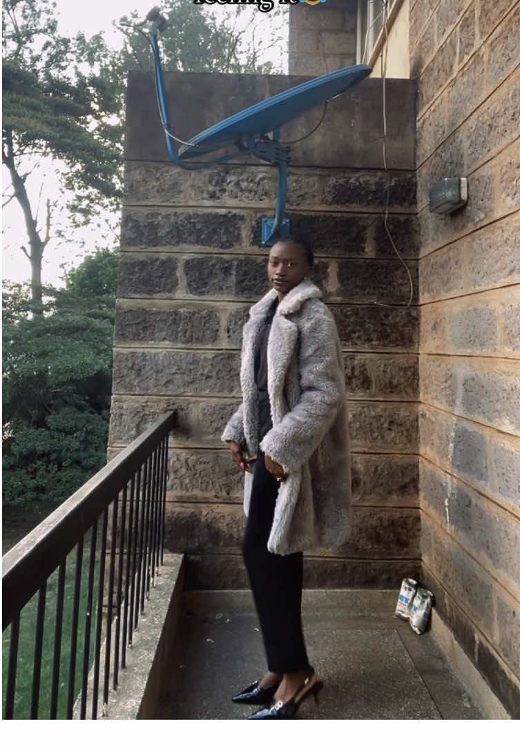 Even birds are laughing at it😹🙈#veegwanalia 