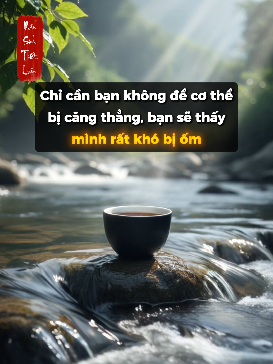 Tâm An Thân An: Bí quyết giữ sức khỏe không nằm ở ăn uống mà là ở việc loại bỏ căng thẳng! #nhansinhtrietluan #baihoccuocsong #trietlycuocsong #trietlysong