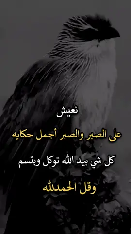 #عباراتكم_الفخمه📿📌 #اجمل_عبارة_راح_ثبتها📌 #افضل_عبارة_لها_تثييت، 