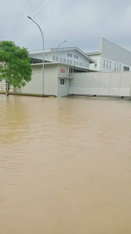 info terkini banjir di jalan kawasan industri oleg, tepat nya di kampung jambu desa cisereh, kecamatan Tigaraksa kabupaten Tangerang. ketinggian air mencapai sedengkul kaki orang dewasa, info terkini banjir Rabu 19 November 2025 .  #fyppppppppppppppppppppppp  #bantenberitaviral  #banten  #fyp  #viral 