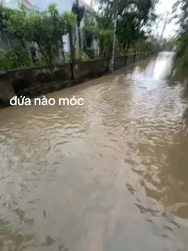 đứa nào móc#xuhuong 