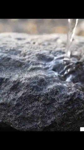 #သင်သိပါသလား #ရယ်သောသူသည်အသက်ရှည်၏🤣🤣🤣🤣 #ဟီးဟီးဟားဟား🥰🥰🥰🥰🥰 #foryoupage #ရောက်စမ်းfypပေါ်😒myanmartiktok 