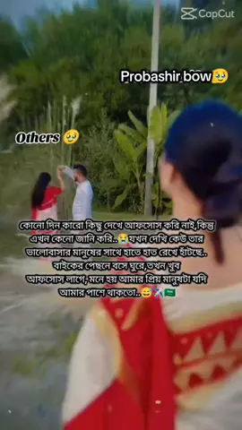 🥹💔😅#trending #foryoupage #probashir_bow✈️✈️ 