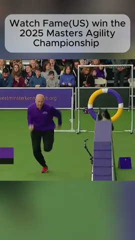 #sports #dogs #trend #foyou #fpy 