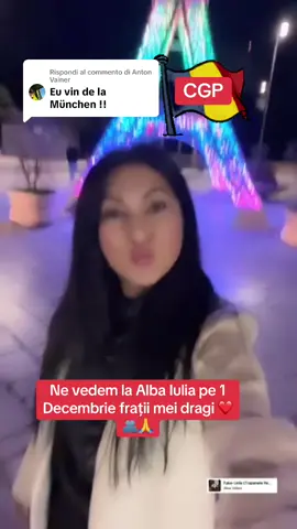 Risposta a @Anton Vainer 