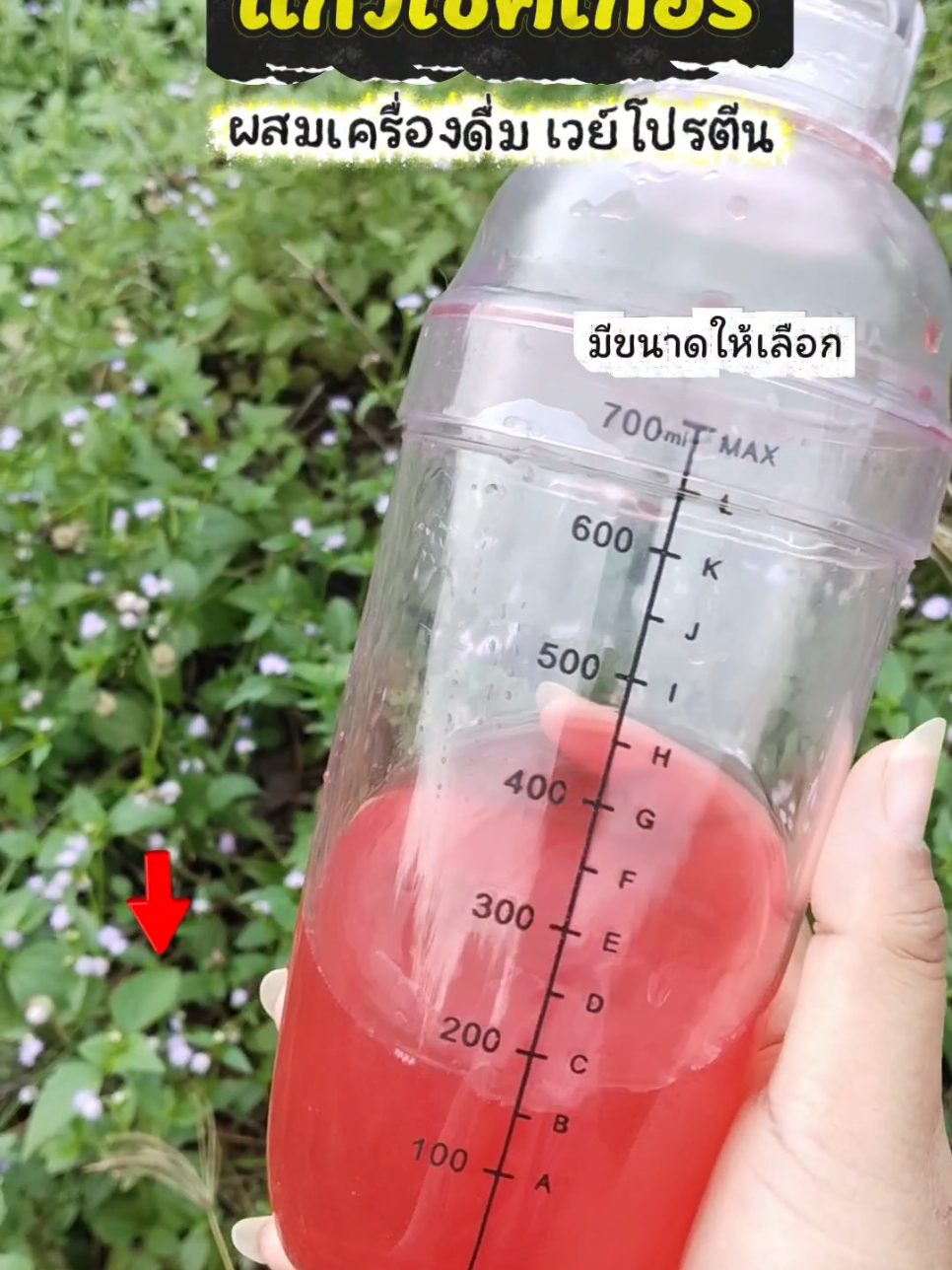 ถ้วยเชคเกอร์พลาสติก มีให้เลือก ถ้วยเชคโปรตีน #แก้วเชคโปรตีน #แก้วเชค #แก้วเชคเวย์ #แก้วเชคเวย์โปรตีน #แก้วผสมเครื่องดื่ม 