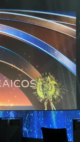 The74th Miss Universe | National Costume Competition 💫 #MGIxMU #MissUniverse  #The74thMissUniverse