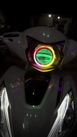 đèn bi cầu Vision