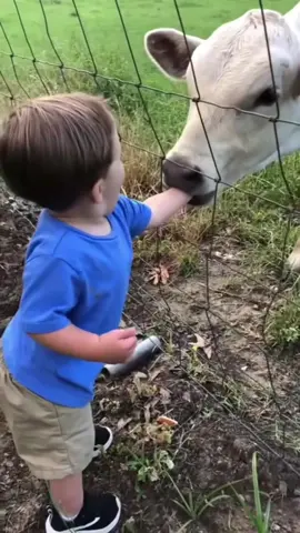 Baby failure🤣🤣🤣 #baby #fail #fyp #funnyvideos #cute #funnybaby #foryou #tiktok #usaus 